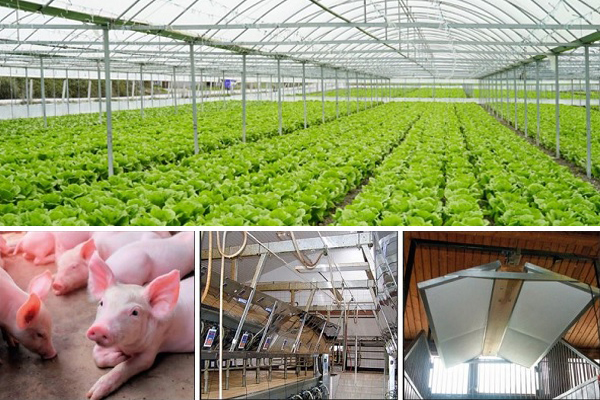 Soil heating in greenhouses or heating of livestock buildings