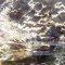 Morský ježko v záplave slnečného svitu od Evy Lazarovej