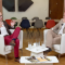 Blackouty jako nová realita? Cyril Svozil: Bez baterií systém zkolabuje